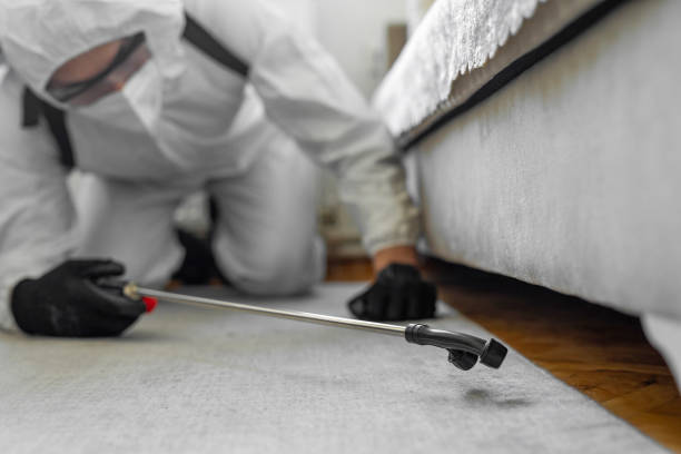Professional Termite Control technician working in Attleboro, MA