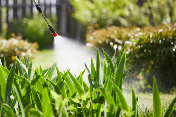 24/7 Emergency Termite Control experts in Attleboro, MA