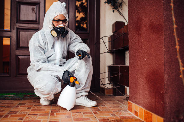 Reliable Termite Control contractor in Attleboro, MA by Nex Pest Control