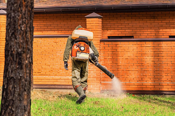 Top rated local Termite Control specialists in Attleboro, MA